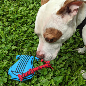 Bard Dog Toy